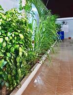 Guest House Terezinha