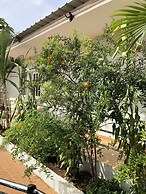 Guest House Terezinha