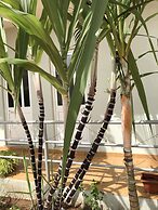 Guest House Terezinha