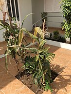 Guest House Terezinha