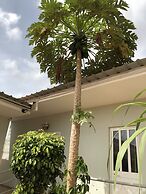 Guest House Terezinha