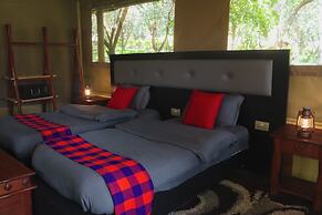 Drunken Elephant Mara