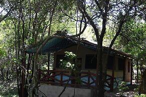 Drunken Elephant Mara