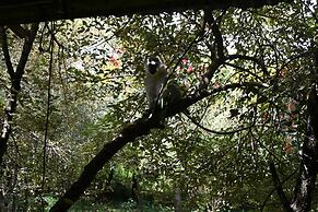 Drunken Elephant Mara