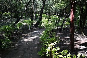 Drunken Elephant Mara