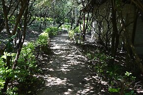 Drunken Elephant Mara