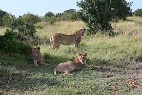 Drunken Elephant Mara