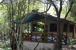 Drunken Elephant Mara