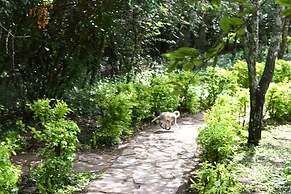 Drunken Elephant Mara