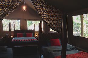 Drunken Elephant Mara