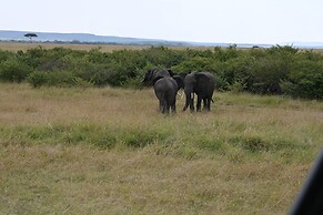 Drunken Elephant Mara