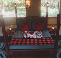 Drunken Elephant Mara