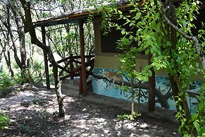 Drunken Elephant Mara