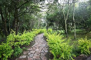 Drunken Elephant Mara