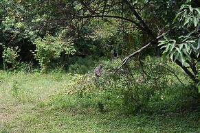 Drunken Elephant Mara