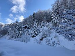 Wildromantisches Appartement am Bachlauf