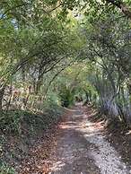 Ecolodge Beauregard