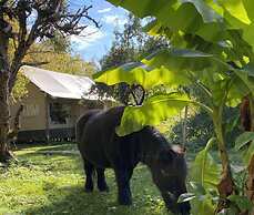 Ecolodge Beauregard
