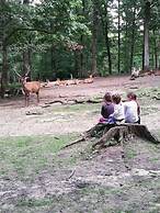 Ecolodge Beauregard