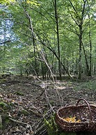 Ecolodge Beauregard