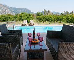 Pomegranate Garden Villas