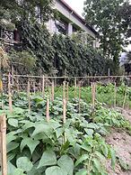 The Greenwood Resort, Guwahati