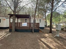 Happy Camp in Camping Iscrixedda