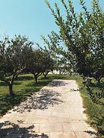Tenuta Gli Agrumi del Salento