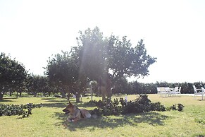 Tenuta Gli Agrumi del Salento