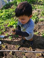 Agriturismo Castanito