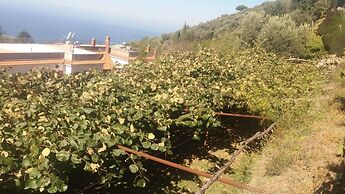 Agriturismo Castanito