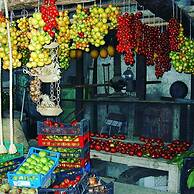 Agriturismo Castanito