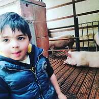 Agriturismo Castanito