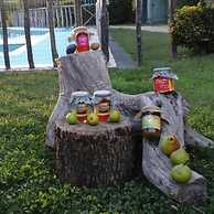 Agriturismo Castanito