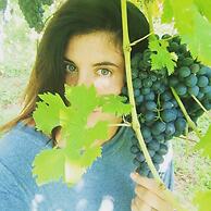 Agriturismo Castanito