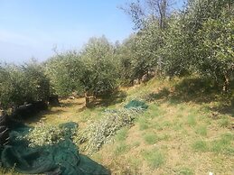 Agriturismo Castanito