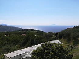 Agriturismo Castanito