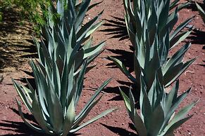 Hotel Casa Legado Spa & Resort