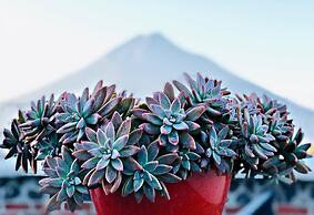 Hotel La Casa de Don Moncho