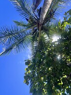 Ola Bonita BeachFront Apart Hotel