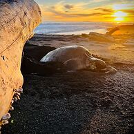 Ola Bonita BeachFront Apart Hotel