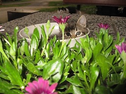 Tuukkalan tila B & B