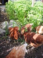 Tuukkalan tila B & B