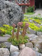 Tuukkalan tila B & B