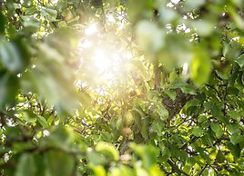 Trädgårdshuset i Sankt Olof