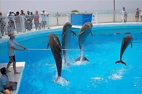 2465 Bungalo 4 Bedroom Home by RedAwning