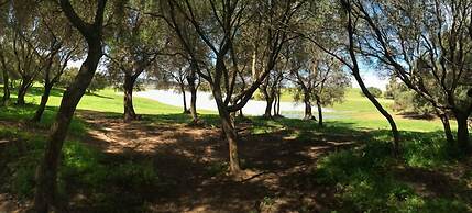 Wakana Lake Glamping