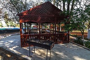 Park-hotel Shinkar
