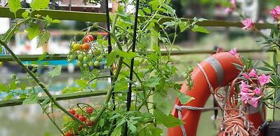 Péniche Amboise Maison d'hôtes Toulouse