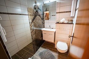 Apartment Hallstatt Dachstein Inn